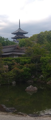 特別拝観 仁和寺