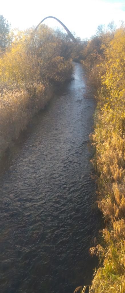 晤郎さんのお墓の虹の橋