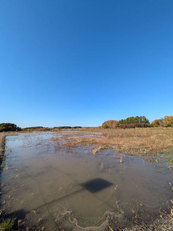 北海道百年記念塔