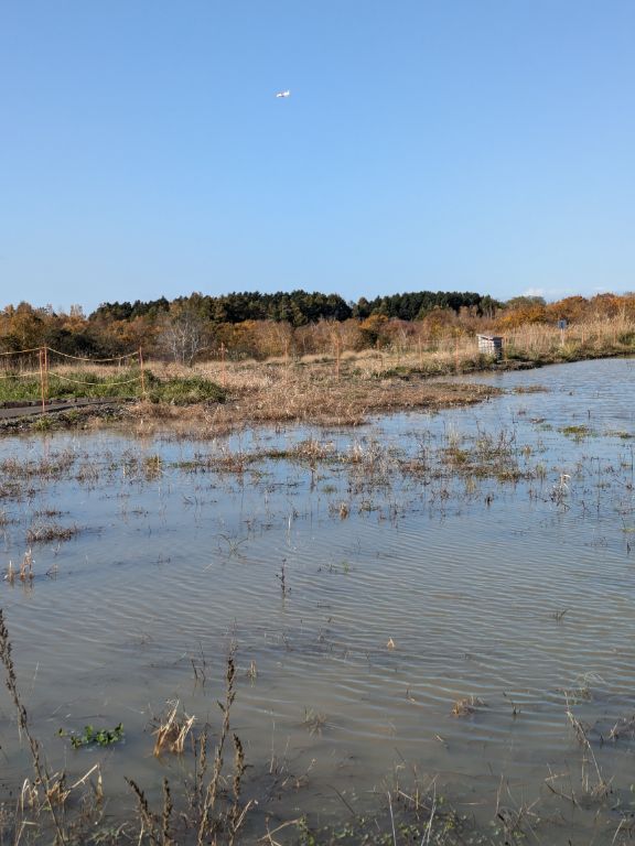 北海道百年記念塔