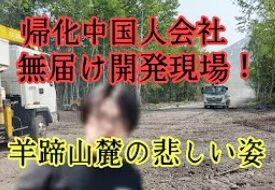 キッドマン北海道探索チャンネル