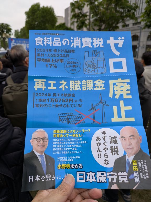 日本保守党チラシ