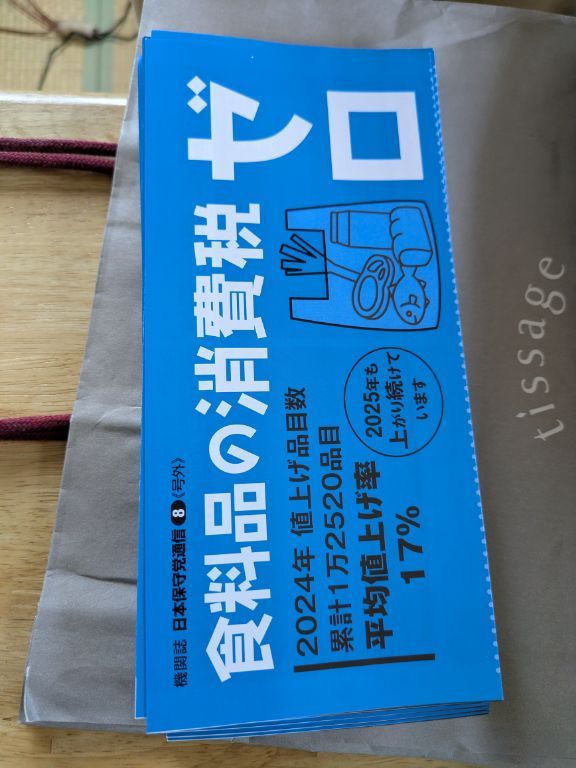 日本保守党　チラシ