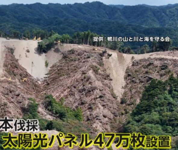 千葉メガソーラー工事現場