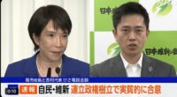 自維連立