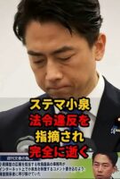 小泉ステマ進次郎