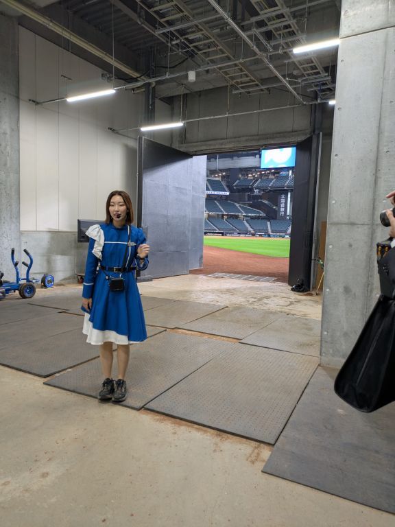 ファイターズガール　ずくちゃん