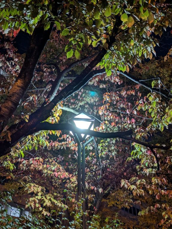 秋の大通公園