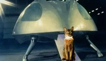 映画 スペースキャット