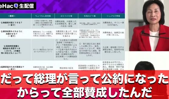 松島みどり　自民党