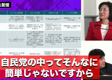 松島みどり　自民党