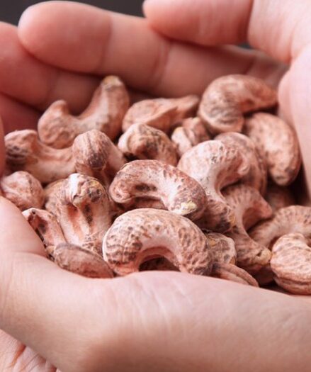 モエ・カシュー