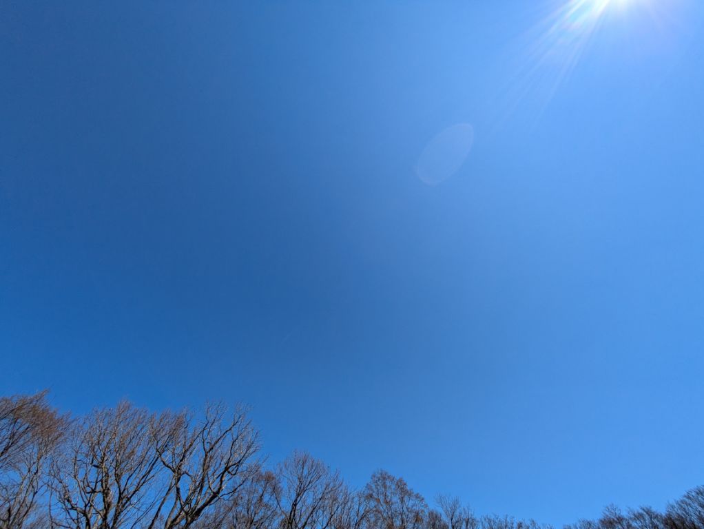 命日のセブンカフェ