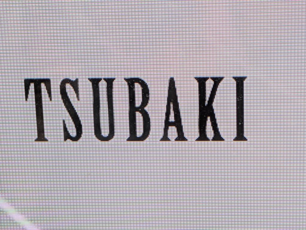 谷本光　札幌ライブ2026