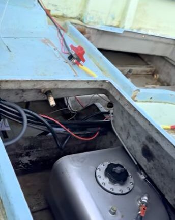 武石知華さんのお母様の撮影動画より