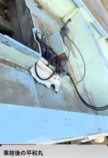 武石知華さんのお母様の撮影動画より